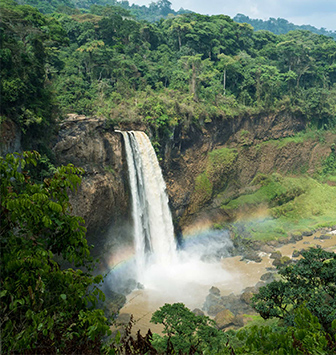 Cameroon